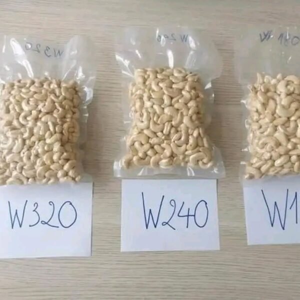 Raw Cashew Nuts Wholesale from Europe