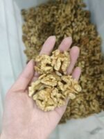 Walnut Halves Wholesale