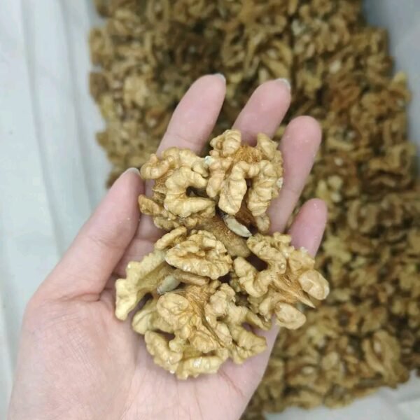 Walnut Halves Wholesale